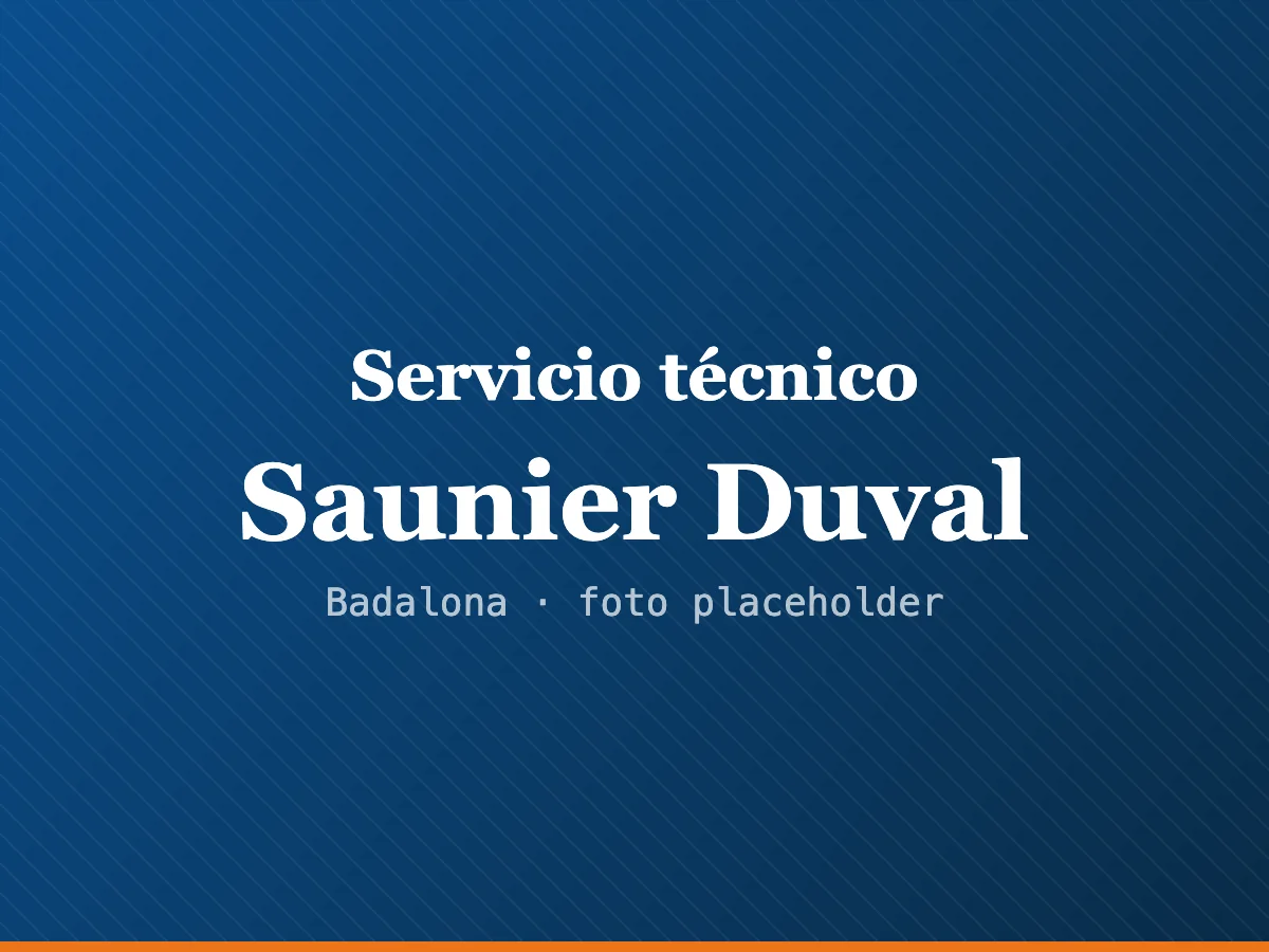 Servicio técnico de calderas Saunier Duval en Sabadell