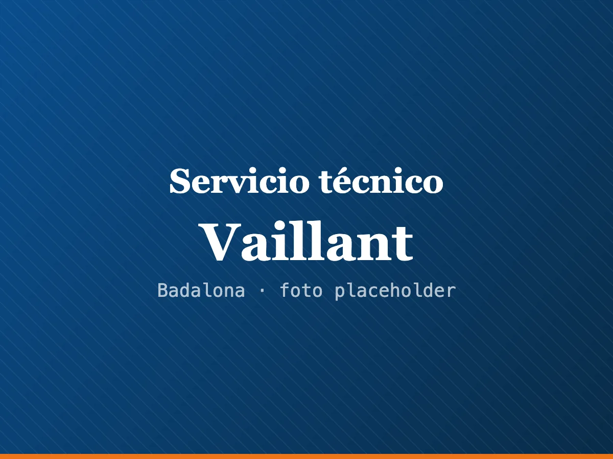 Servicio técnico de calderas Vaillant en Sabadell